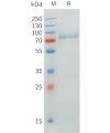 sp-pme101546 crtam sp1