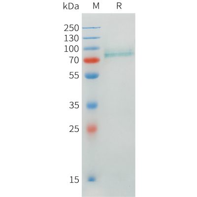 sp-pme101546 crtam sp1