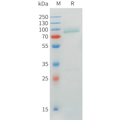 sp-pme101547 crtam sp1