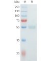 sp-pme101556 clm5 sp1