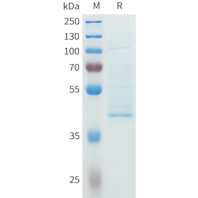 sp-pme101611 ngf sp1