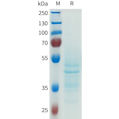 sp-pme101672 cdh6 sp1