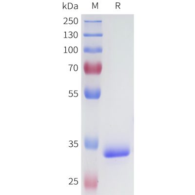 sp-pme101691 ca9 sp1