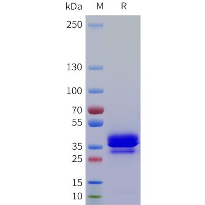 sp-pme101763 nrg4 sp1
