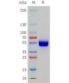 sp-pme101789 pd 1 sp1