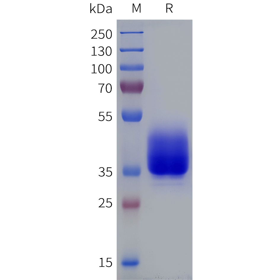 pme101858-lpar5-sp1.png