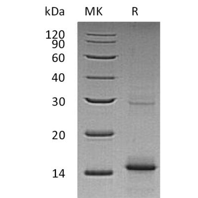 sp-pme30039 gdf 5 sp1