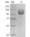 sp-pme30042 elapor1 sp1