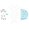 reagents-ame100003 1