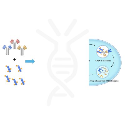 reagents-ame100003 1