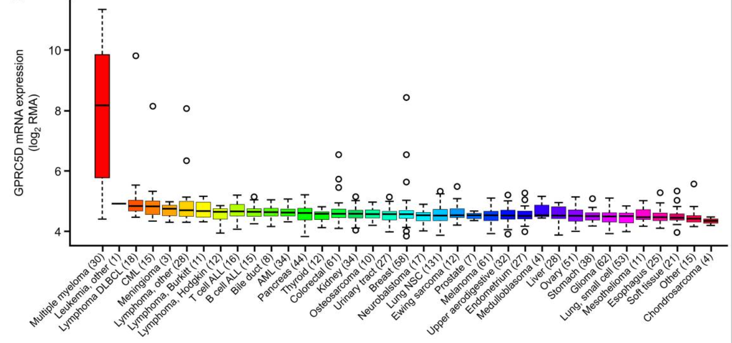 mRNA expression of GPRC5D in malignant cell lines